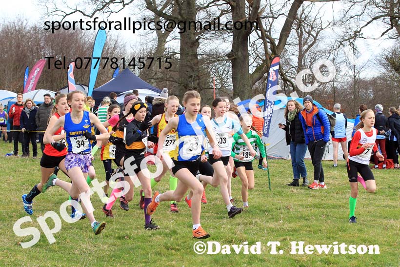 Girls Under-13s 2023 NEHL, Alnwick, Northumberland. Photo: David T. Hewitson/Sports for All Pics